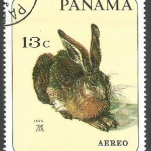 Panamá - European Hare (Lepus europaeus)