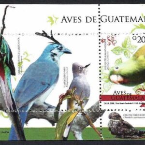 GUATEMALA - Aves de Guatemala