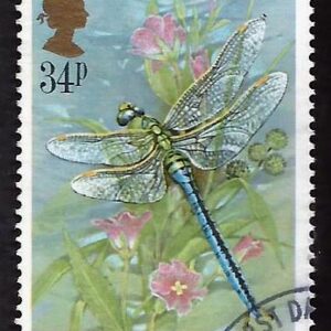 Reino Unido - Emperor Dragonfly