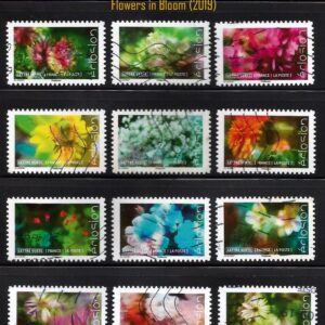 Francia - Flowers in bloom (2019)