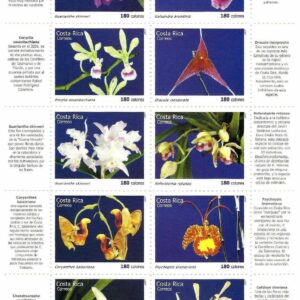 Costa Rica - Orquídeas de Costa Rica