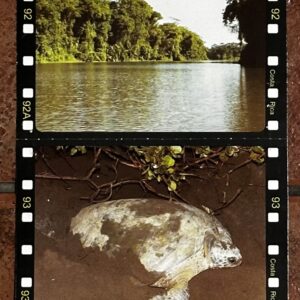 Parque Nacional Tortuguero
