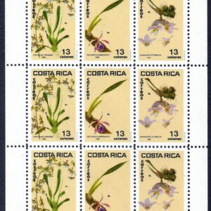 Orquídeas de Costa Rica (1985) muy escaso