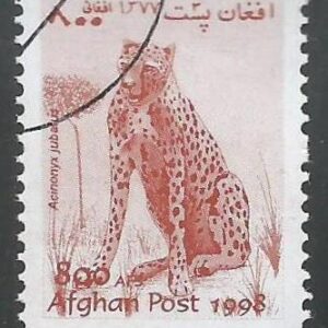Afganistán (1998) Fauna