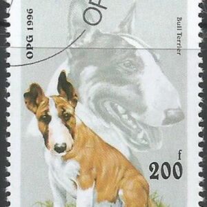 República de Guinéa (1996) Bull Terrier
