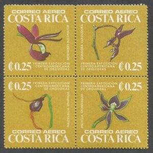 1st Central American Orchid show