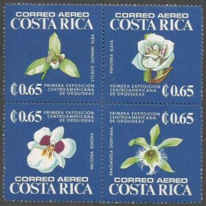 1st Central American Orchid show (1975)