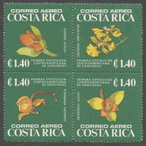 1st Central American Orchid show (1975)