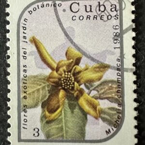 Cuba: Flores exóticas del Jardín Botánico