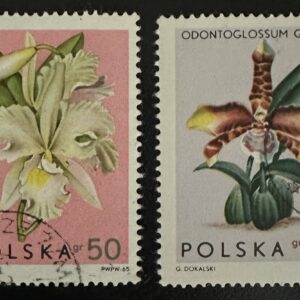 Orquídeas de Polonia