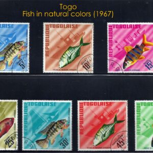 Togo - Fish in natural colors (1967)