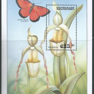 Nicaragua - Phragmipedium longifolium (1999)