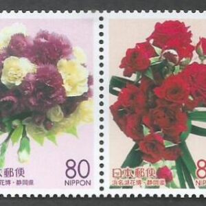 Japón - Prefectura Shizuoka