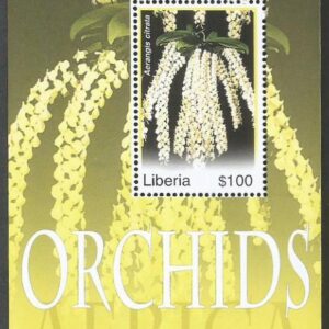 Liberia (2007) Aerangis citrata