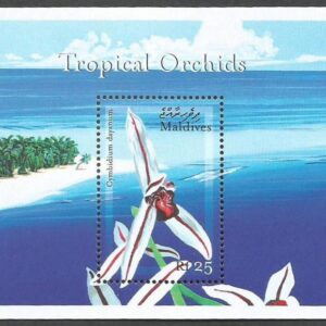 Maldives - Tropical Orchids