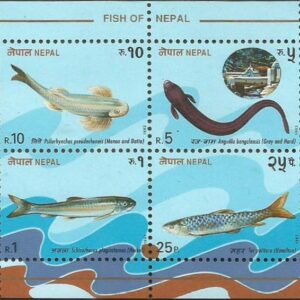 Fish of Nepal (1993)
