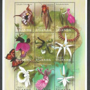 Orchids of Uganda