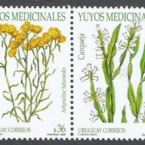 Uruguay - Plantas medicinales