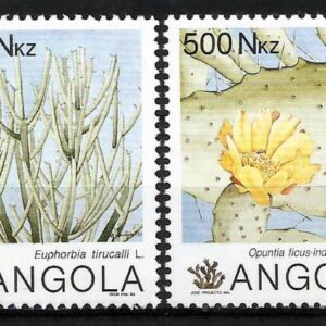 Angola - Cactus y suculentas