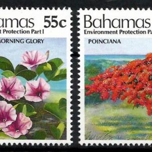 Bahamas - Protección del Medio Ambiente