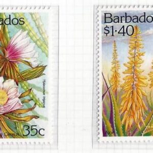 Barbados - Cáctus y plantas oleaginosas