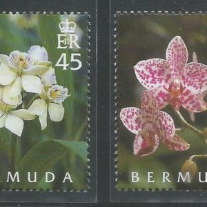 Orquídeas de Bermuda