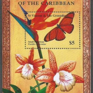 Butterflies of the Caribbean