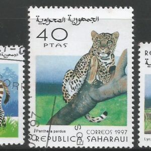 República Sarahui - Fauna africana