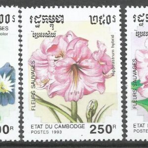 Flores silvestres de Camboya