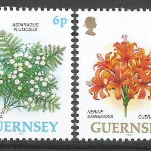 Guernsey - Flores