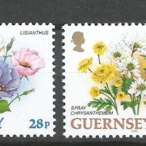 Guernsey - Flores