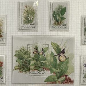 Moldova (Set de orquídeas)