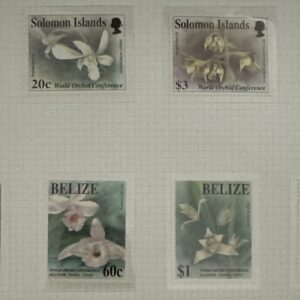 Orquídeas de Solomon Islands y Belice