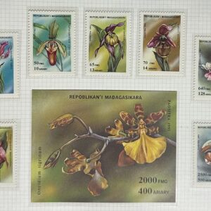 Orquídeas de Madagascar