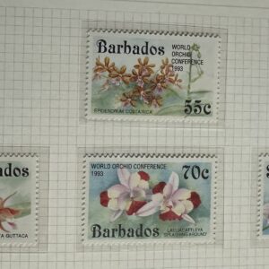 Barbados (Orquídeas)