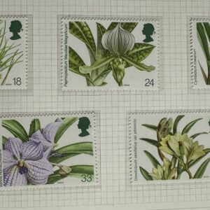 Orchids of Jersey (1993)