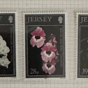 Jersey Orchids (1993)