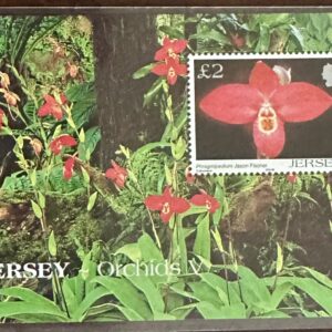Jersey Orchids (2004)
