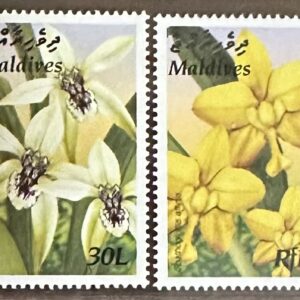 Orquídeas de Maldives