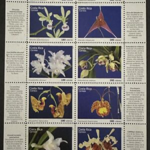 Orquídeas de Costa Rica