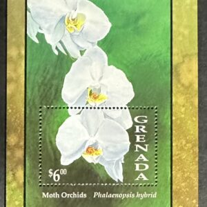 Grenada Moth Orchids
