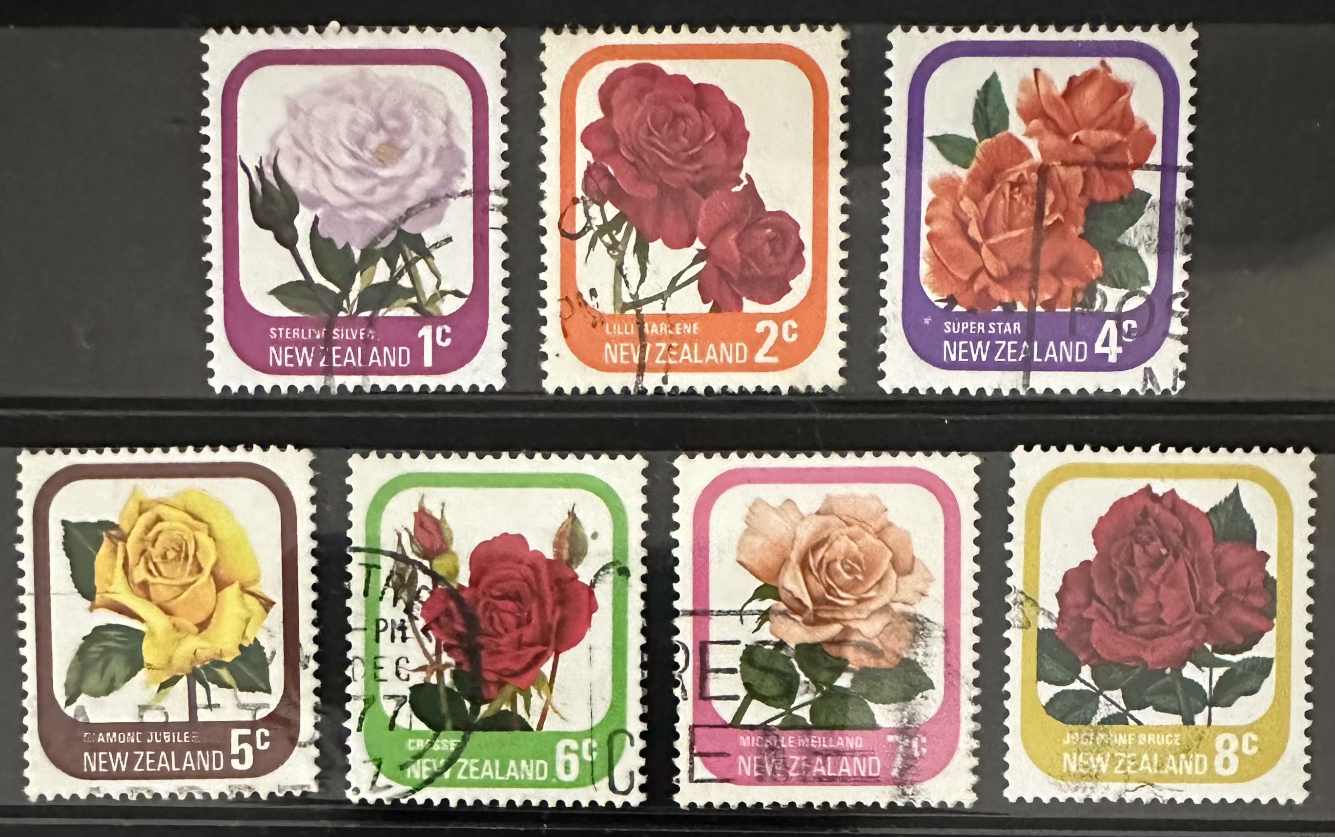 Rosas de Nueva Zelanda