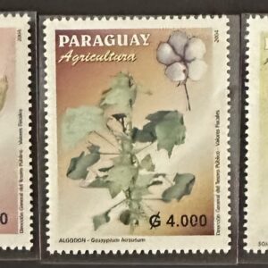 Paraguay - Cultivos