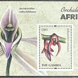 Orchids of Africa