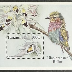 Tanzania - Lilac-breasted Roller