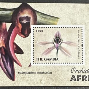 Orchids of Africa