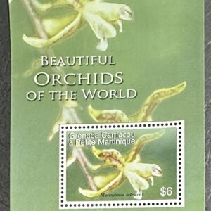 Beautiful Orchids of the World