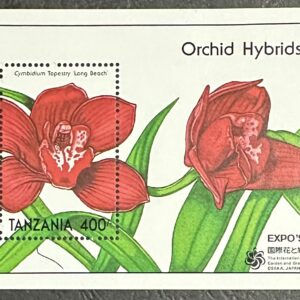 Tanzania - Orchids Hybrids