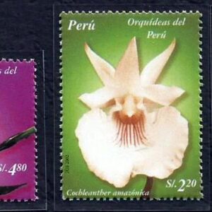 Orquídeas del Perú