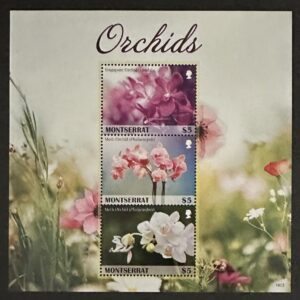 Orquídeas de Montserrat